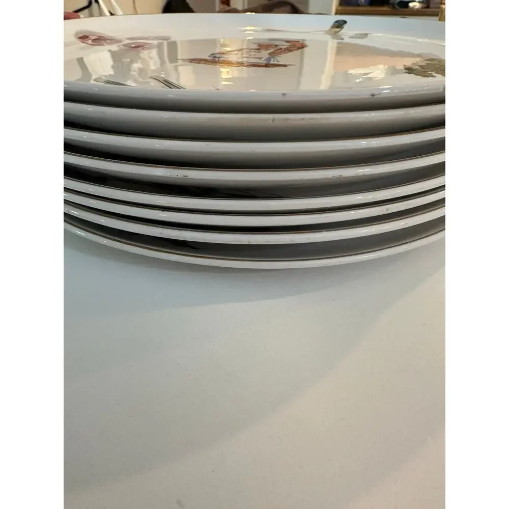 Vintage Ironstone World Finest Oven Proof Printed Plates Pack of 8 BBQ MCM 1950s